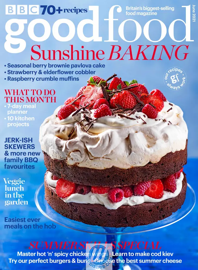 WordPress and Print Magazines: An Analogy for Better Understanding 8 https://wpdistrib.com/wp-content/uploads/2025/02/WPDISTRIB_GFO_0621_p1_CoverNSV3NoBarcode-8ebb532.jpg_Image__L3VZaZZaA6_673x916.webp